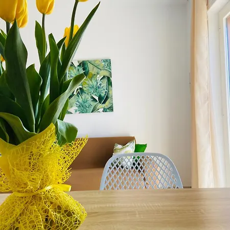 Due Golfi Heart Appartement Massa Lubrense