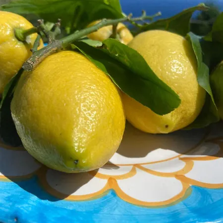 Due Golfi Heart Διαμέρισμα Massa Lubrense